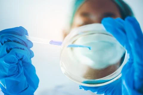 Closeup-pipette dropping a sample into a test tube in an experiment research  Stock Photos