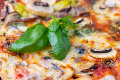 Closeup of a pizza with basil Stock Photos