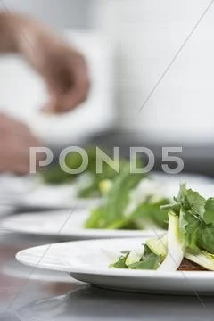Closeup Of Plates Of Salads In Row Stock Photos