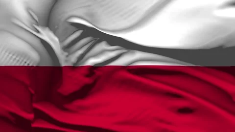 Closeup Poland Flag Wave Loop waving in wind Realistic Poland Flag backgroun Stock Footage 336650911