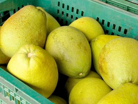 The closeup of pomelo fruit Stock Photos