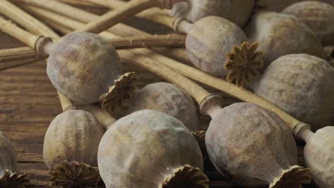 Closeup of poppy heads on a table 스톡 동영상 197019255