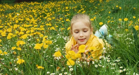 Closeup portrait child lying on the grass among yellow flowers Vidéo 49820434