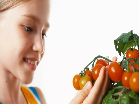 Closeup portrait of child touching cherry tomatoes on white background Video stock 84528050