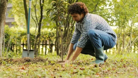 Closeup. Portrait of a farmer planting a tree. He presses the soil, then smiles Stock Footage 81054019