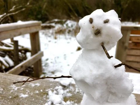 Closeup portrait of a mini snowman Stock Photos