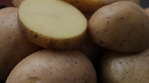 Closeup of potatoes Video stock 286779542