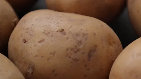 Closeup of potatoes Stock Footage 286779689