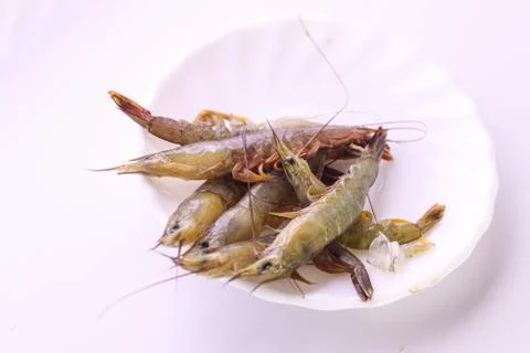 Closeup of Prawn white background Stock Photos