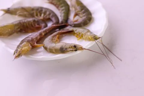 Closeup of Prawn white background Stock Photos