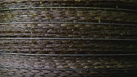 Closeup of pressing machine crashing olive grains to produce high-quality oil. Stock-Footage 283641992