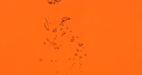 Closeup process of making black tea, mulled wine. Macro shot of dipping, fall Stock Footage 137112288