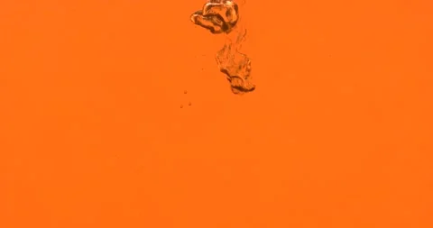 Closeup process of making black tea, mulled wine. Macro shot of dipping, fall Stock Footage 137112307