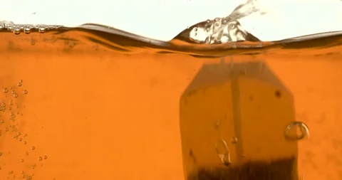 Closeup process of making, brewing fresh natural green black tea. Macro shot  Stock Footage 137112059