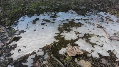 Closeup puddle covered with ice on a sunny day Stock Footage 124358045