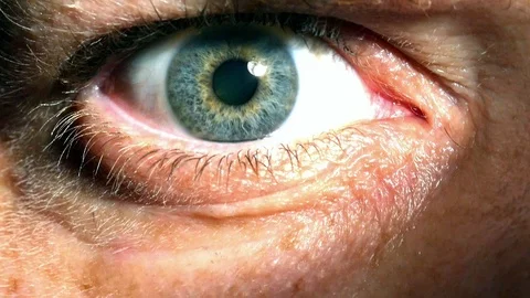 Closeup of pulsating Iris showing pupillary response Stock Footage 97534004
