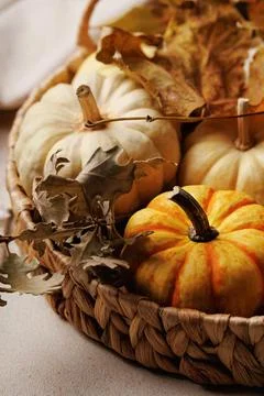 Closeup of pumpkin with fall leaves in rustic basket Stock Photos