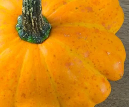 Closeup of Pumpkin Stock Photos