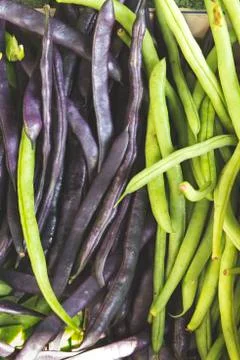 Closeup of Purple and Green String Beans Stock Photos