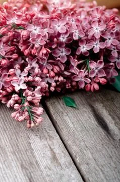 Closeup Purple lilac flowers on a old wooden surface. Spring holidays backgro Stock Photos