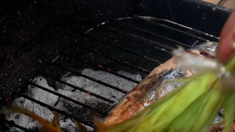 Closeup putting a Trout fish on a hot grill with charcoal and steaming using Stock Footage 160090160