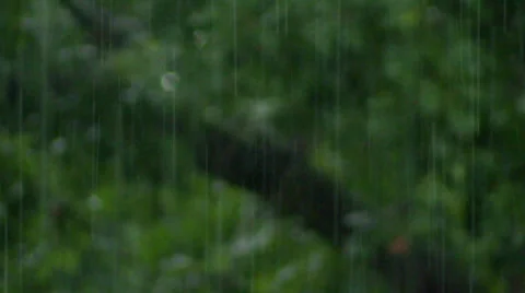 Closeup Rack Focus - Rain Pouring in front of Trees during Stormy Weather Stock Footage 32517393