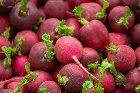 Closeup radish background 库存照片