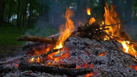 Closeup of Raging Campfire  库存影片 85183064