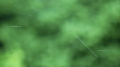 Closeup of rain drops on blurred background trees in summer Stock Footage 131338932