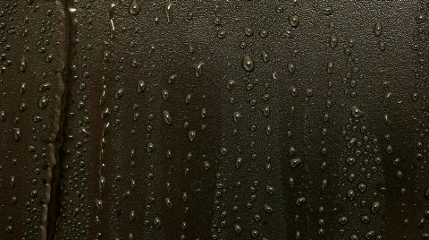 Closeup of rain drops Stock Footage 593081