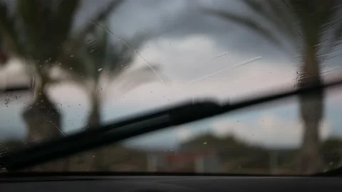 Closeup of rain drops on a windshield, with blurry palmtrees on the background Video stock 164609321