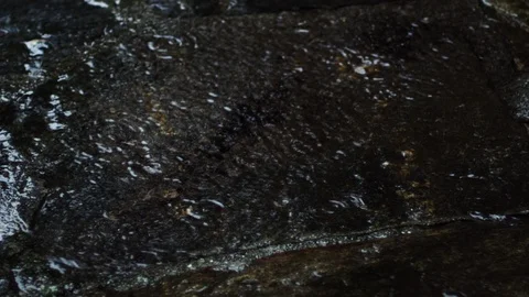 Closeup of rain falling on an old granite stone floor with puddles of water Stock Footage 98052089