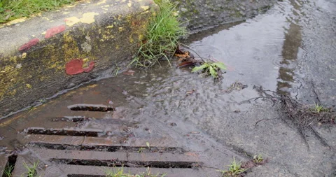 Closeup of rain flowing into storm drain Stock Footage 175738382