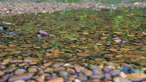 Closeup raindrop on the stone in the forest. Stock Footage 142049676