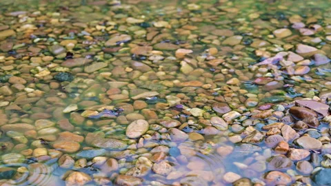 Closeup raindrop on the stone in the forest. Stock-Footage 142049717