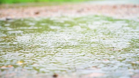 Closeup raindrop on the stone in the forest. Stock-Footage 142194731