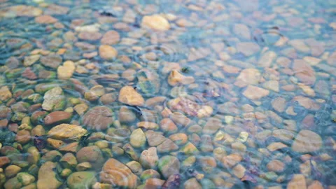 Closeup raindrop on the stone in the forest. Stock-Footage 142195009