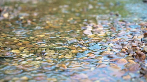 Closeup raindrop on the stone in the forest. Stock-Footage 142195263