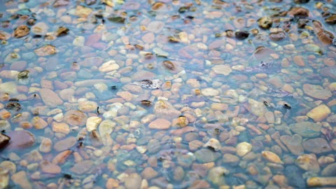 Closeup raindrop on the stone in the forest. Stock-Footage 142198879