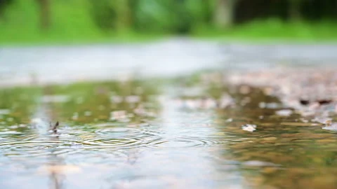 Closeup raindrop on the stone in the forest. Stock-Footage 142199357