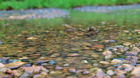 Closeup raindrop on the stone in the forest. Stock-Footage 142199393