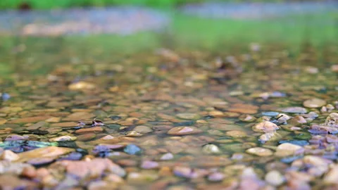 Closeup raindrop on the stone in the forest. Stock-Footage 142247511