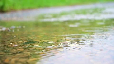 Closeup raindrop on the stone in the forest. Stock-Footage 142247563