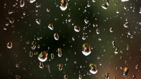 CloseUp raindrops with background of the garden 動画素材 147666261