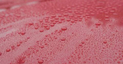 Closeup of raindrops on ceramic coated red car with hydrophobic effect Stock Photos