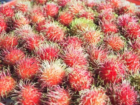 Closeup rambutans Stock Photos
