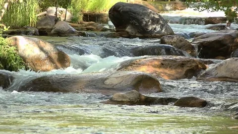 Closeup of Rapids Falls Area Vídeo Stock 78033147