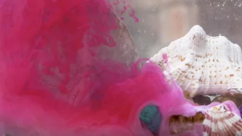 Closeup of rare sea stones, solid shells and shiny objects inside a glass displa Stock Footage 243261331