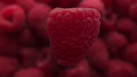 Closeup of raspberry rotating and falling to raaspberry background Stock Footage 134869014