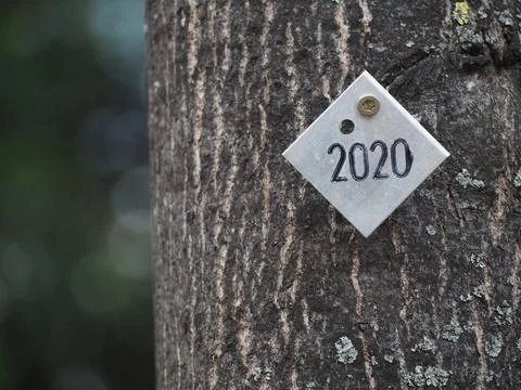 Closeup of a rectangular white piece with a written 2020 number attached to the 스톡 사진